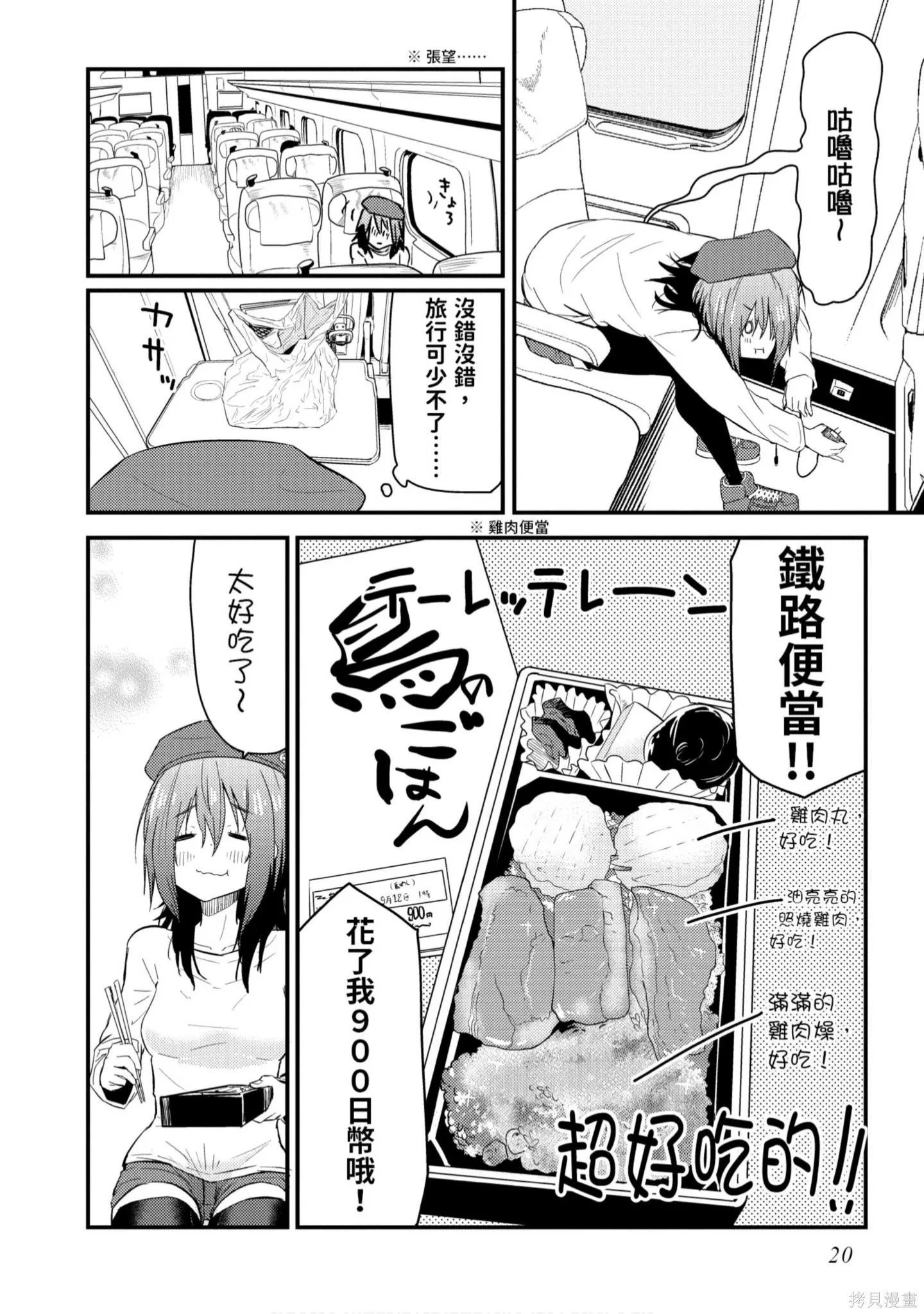 第1卷 第21页