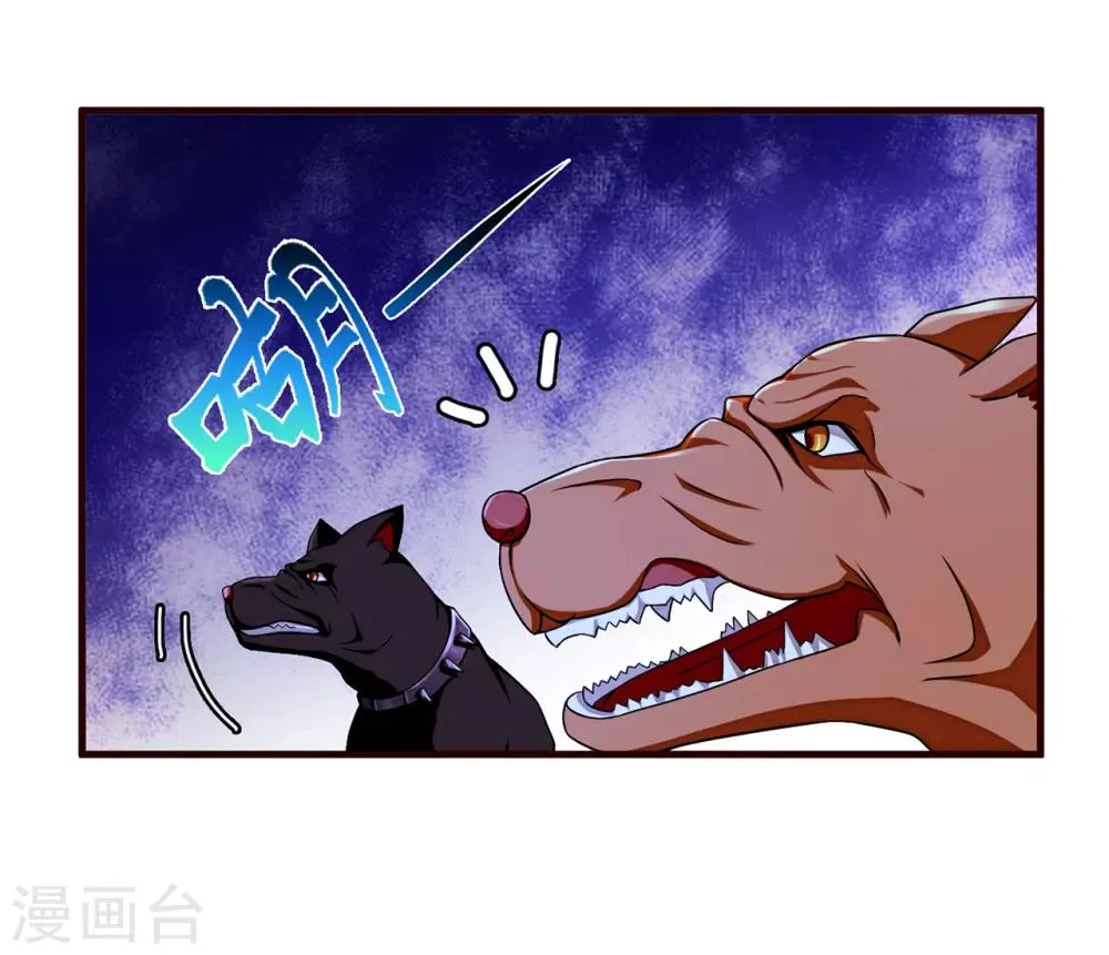 第20话 报复 第3页