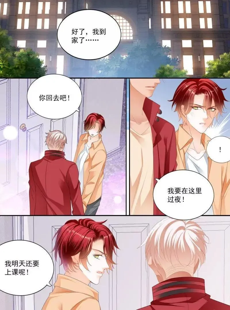 不被打扰 第4页