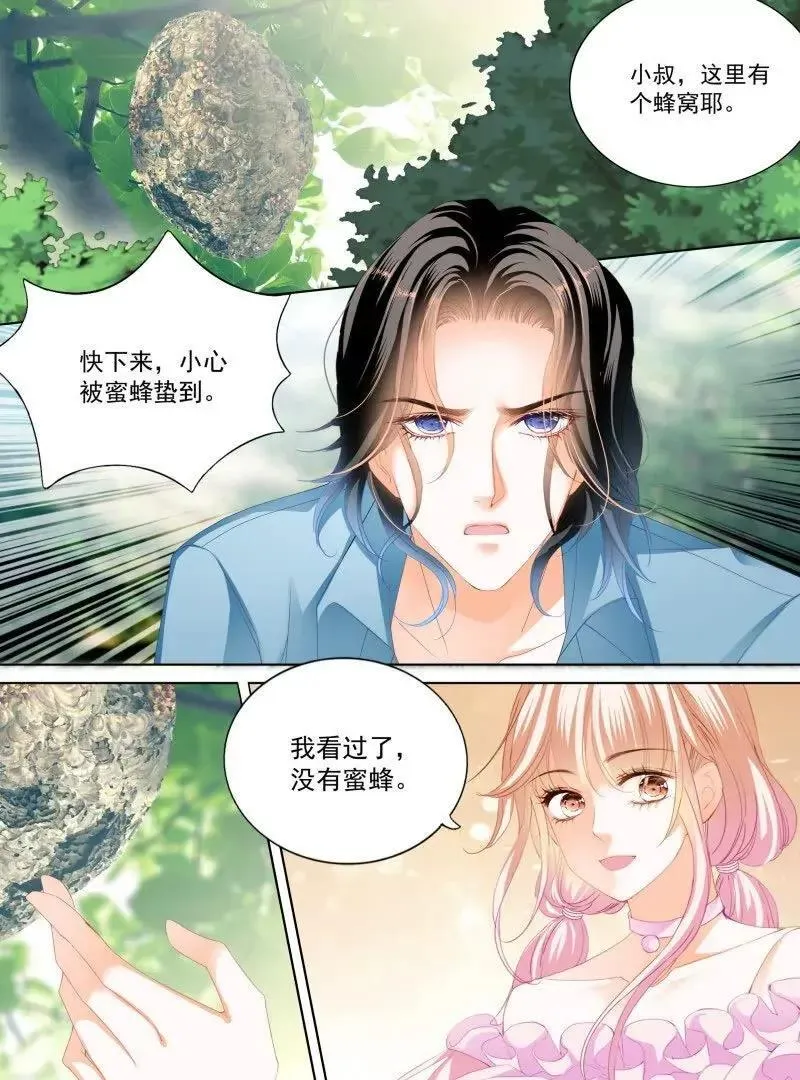 涩涩的蜜蜂 第12页