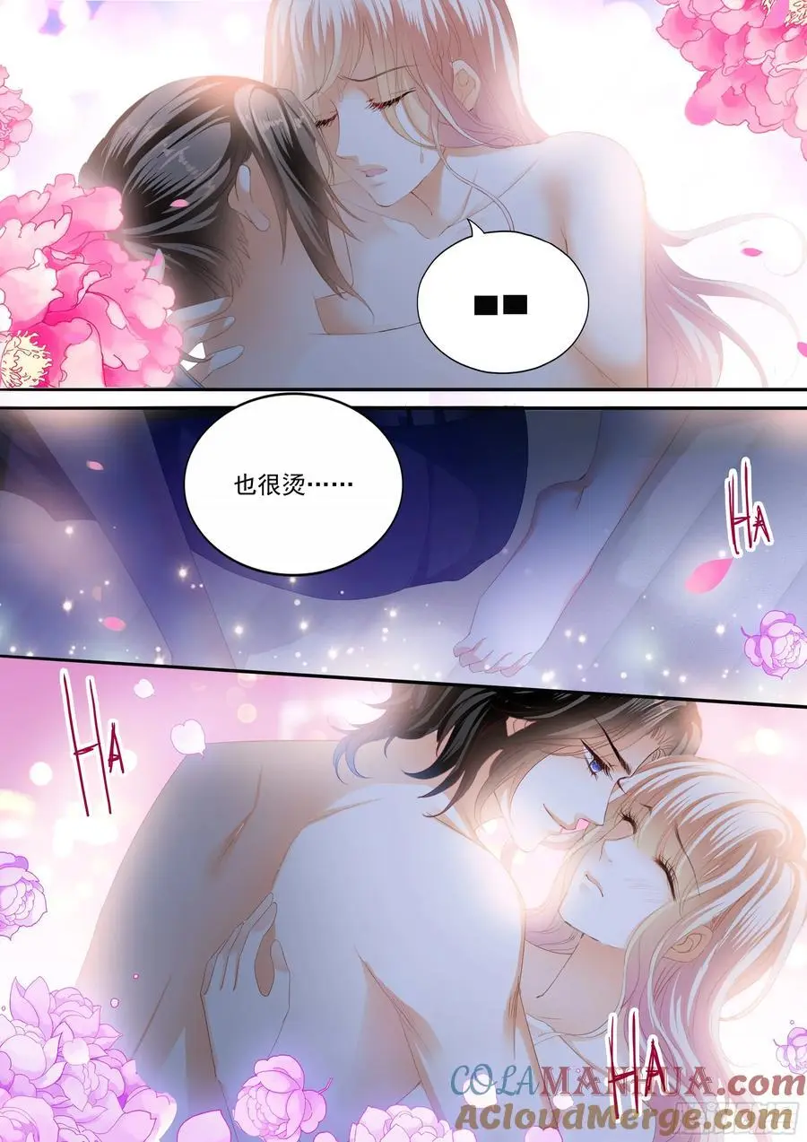 展示主权 第8页