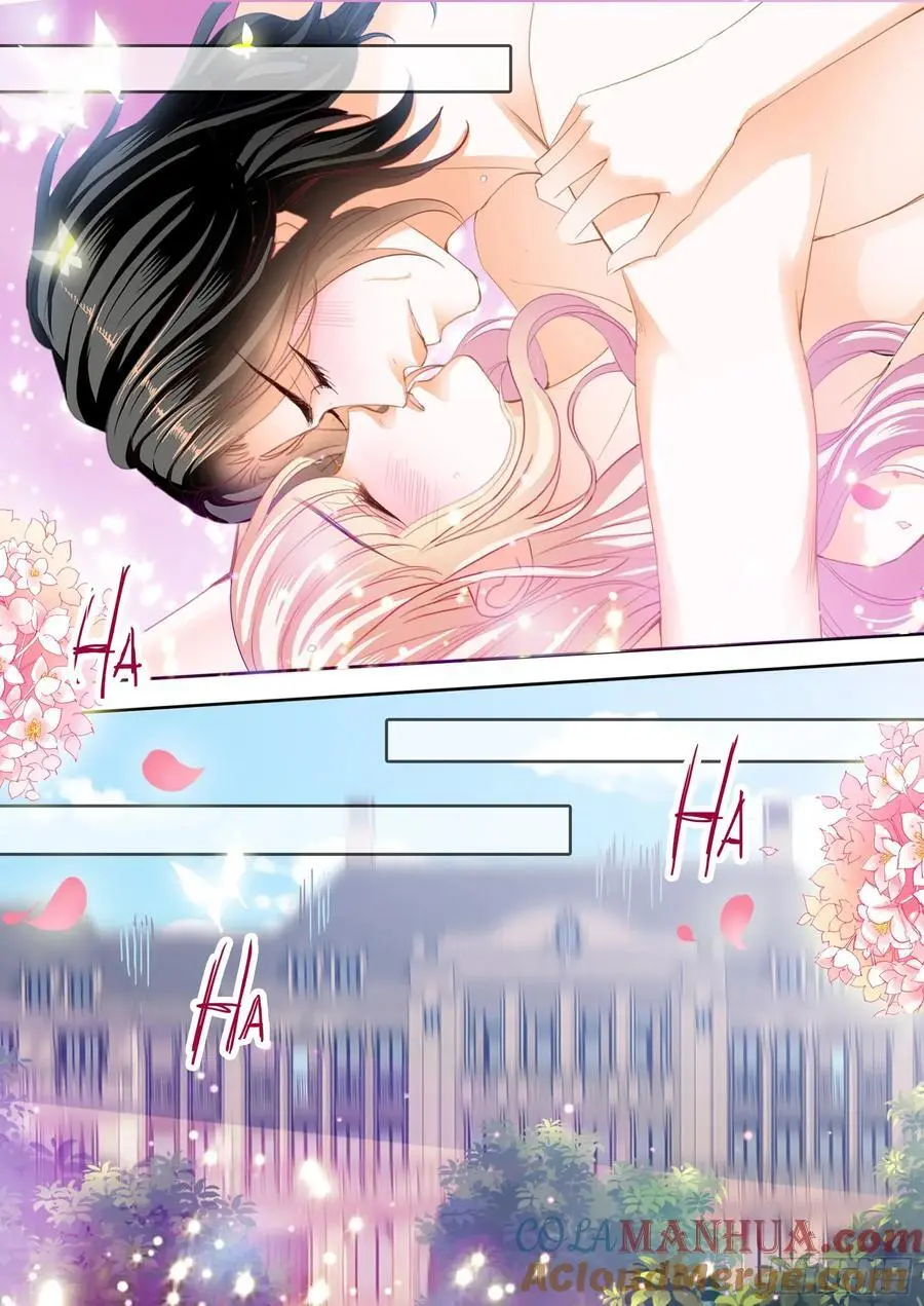 展示主权 第11页