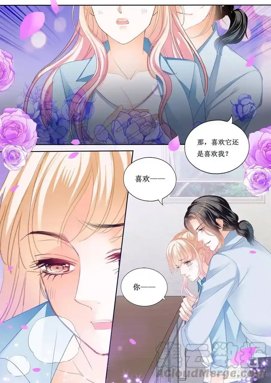 来摸我的枪 第13页