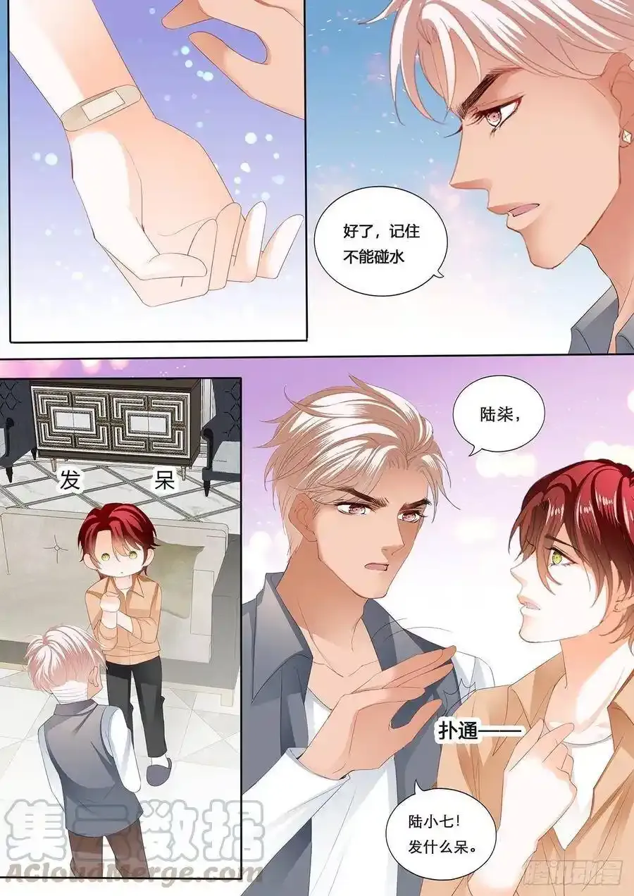 小七，彻底接受我 第5页