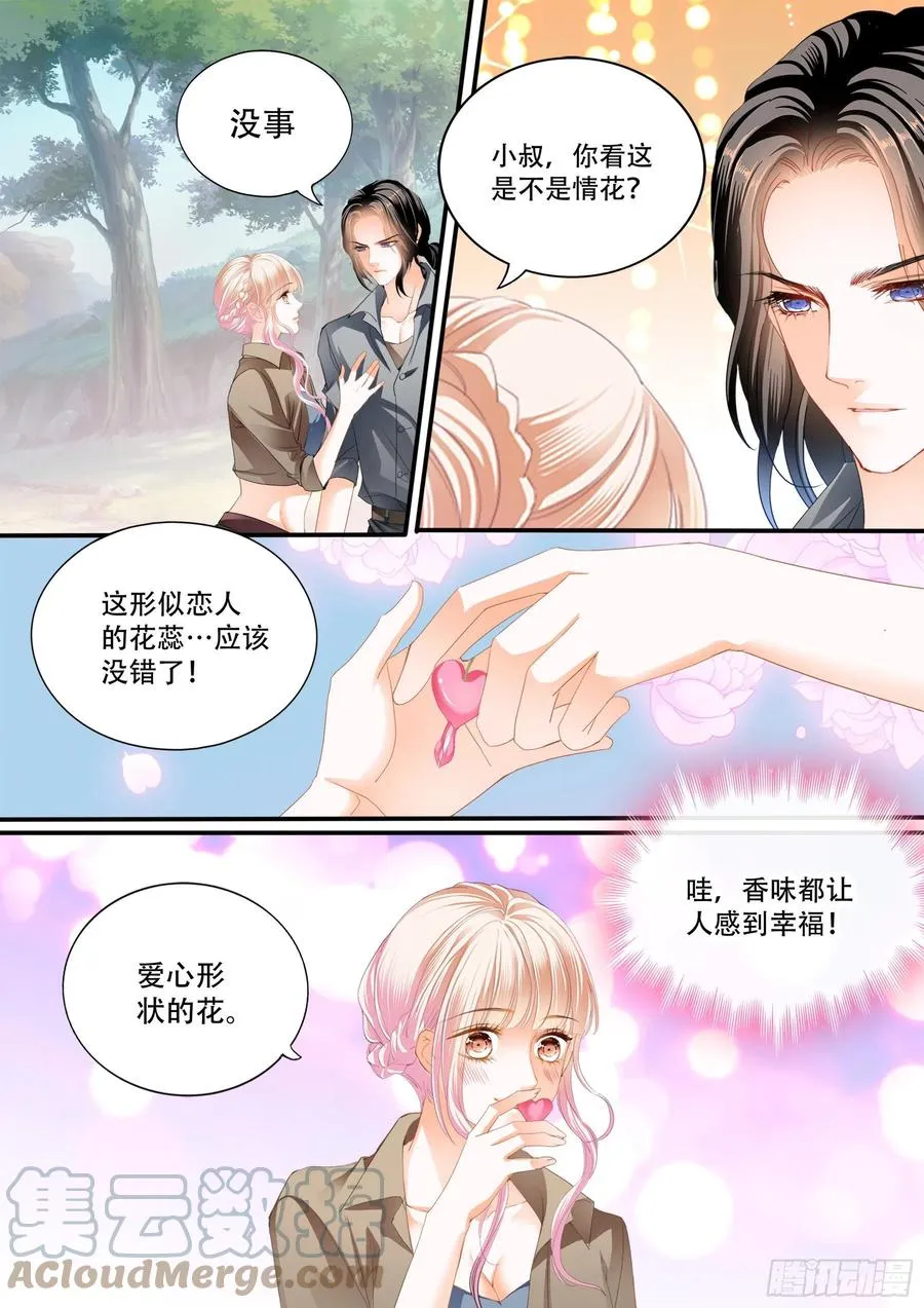 情花飘香 第11页