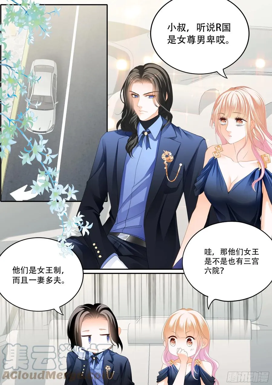 女王的后宫 第3页