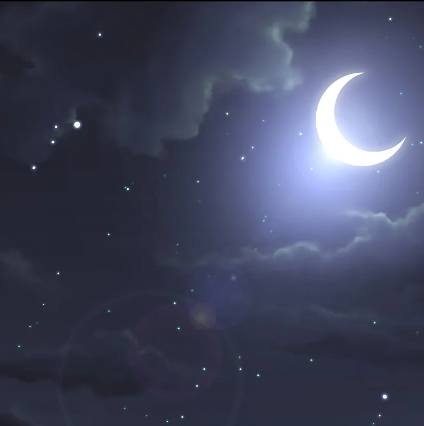 028 干净的眼神 第8页
