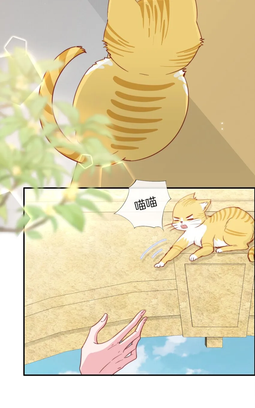 054 又是安宁？ 第15页