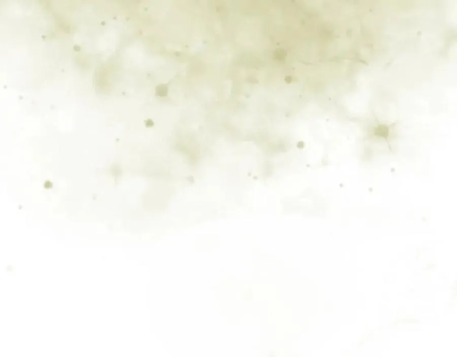 第77话 切磋 第118页