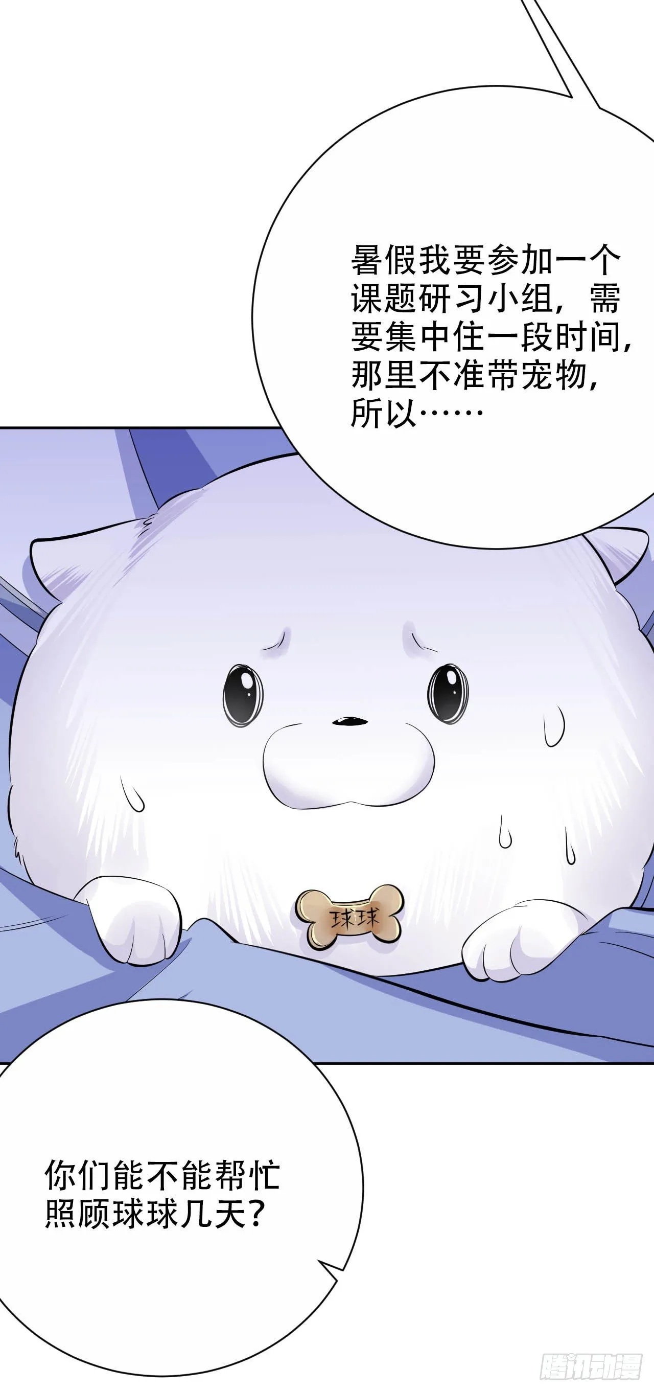 26.宠物终结者 第12页