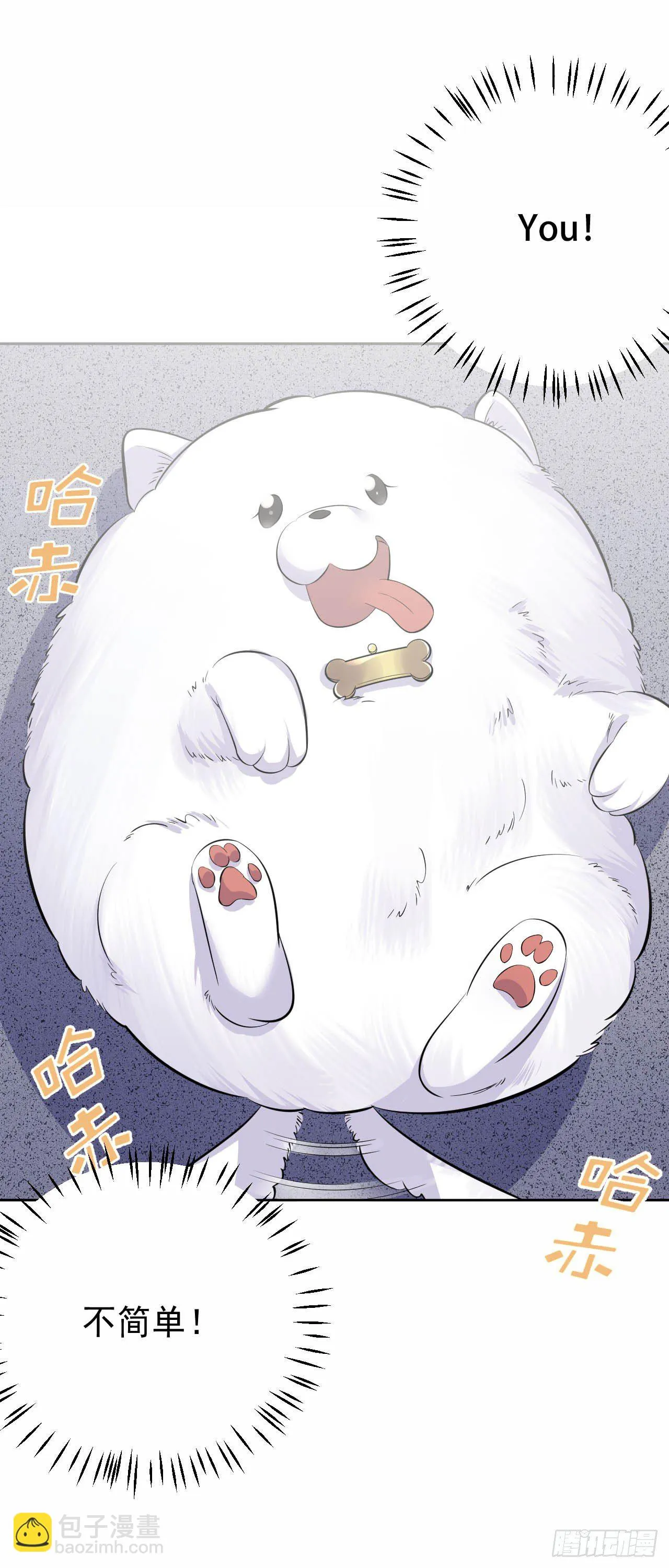 27.球球的逆袭！ 第19页