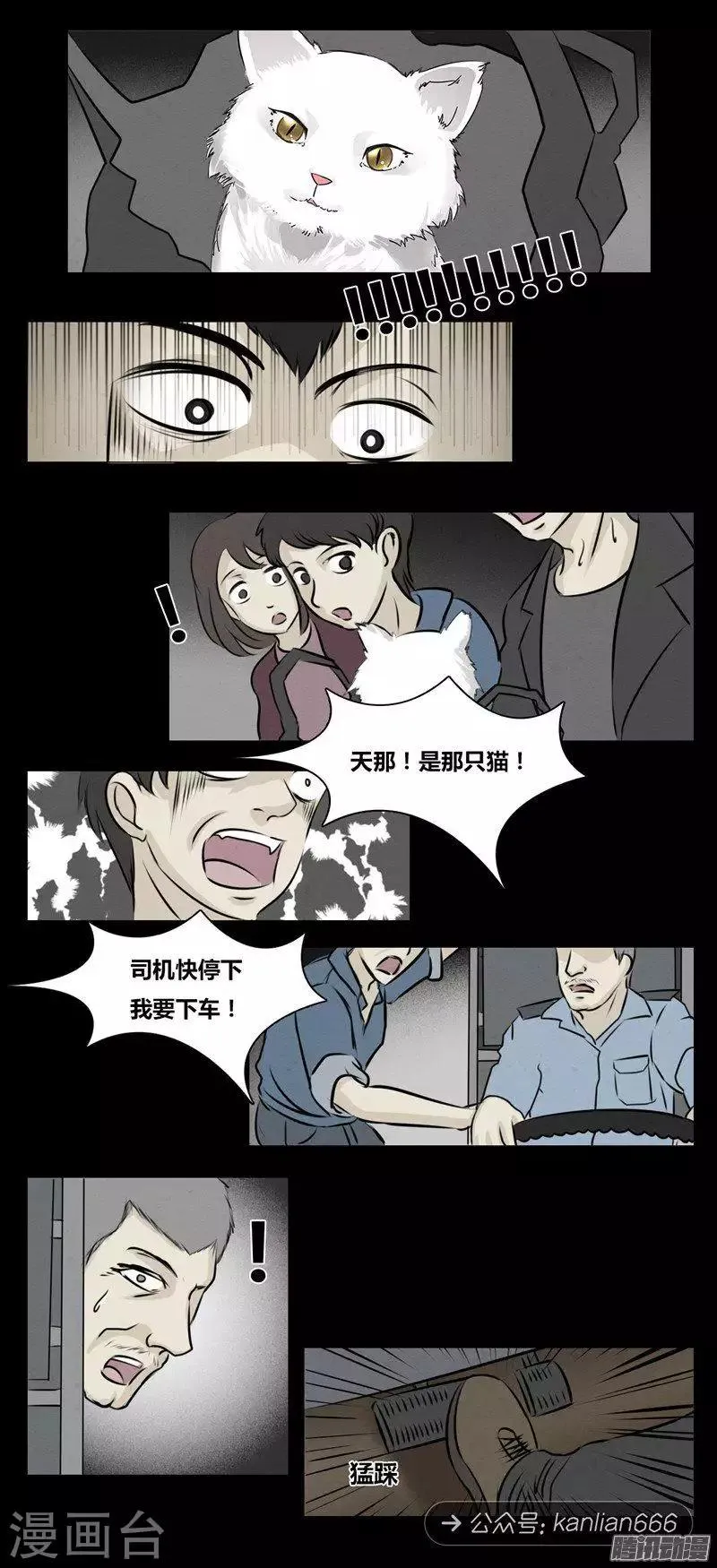 第101话 猫的诅咒 第5页