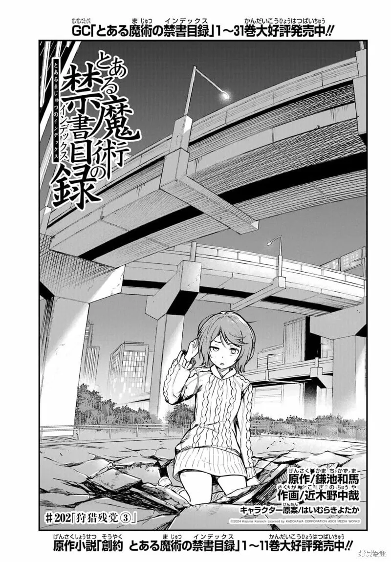 第202话 第13页