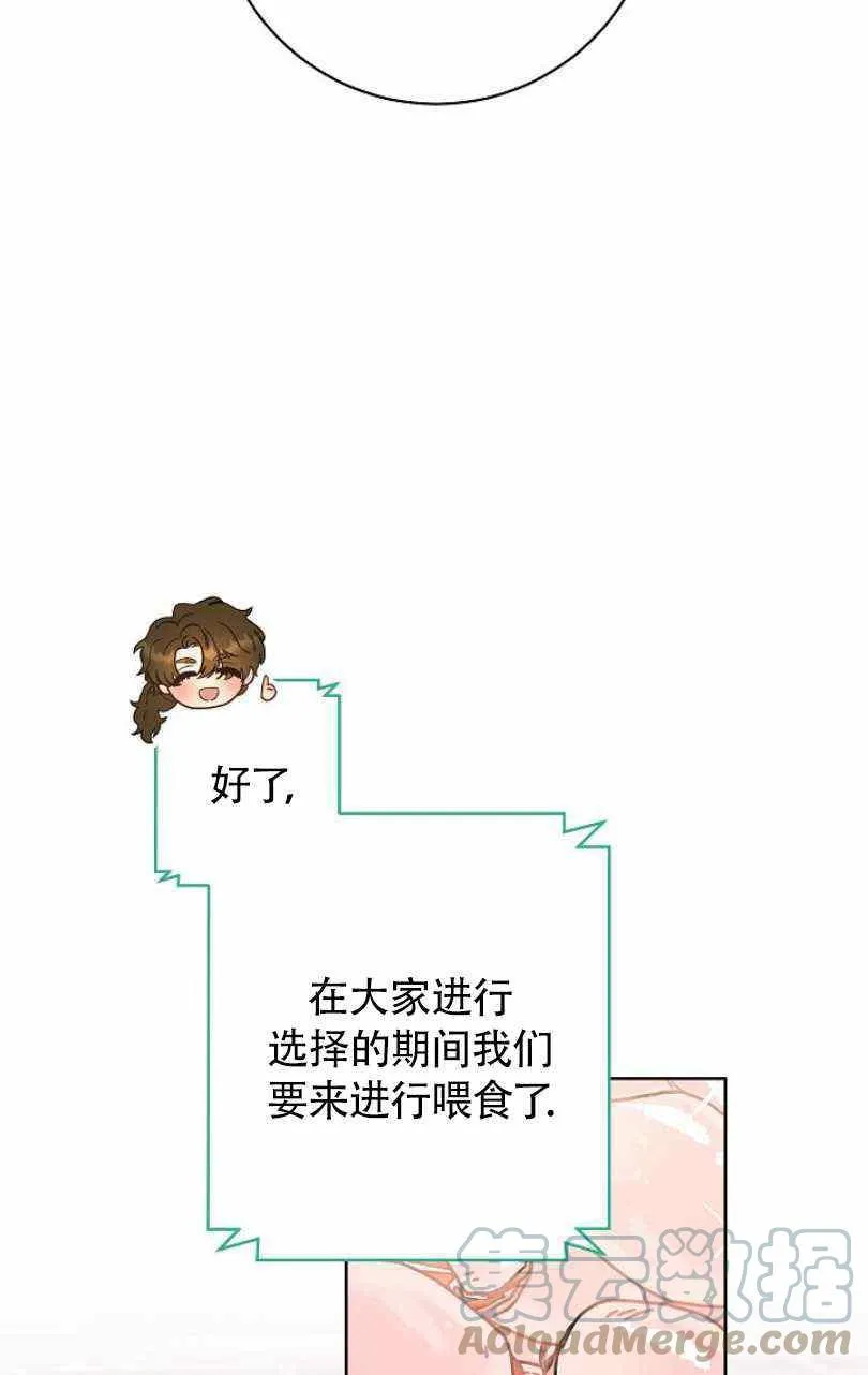 第17话 第33页