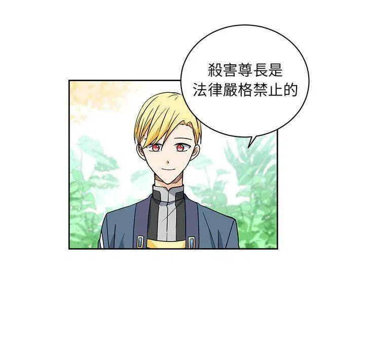 31 第32页