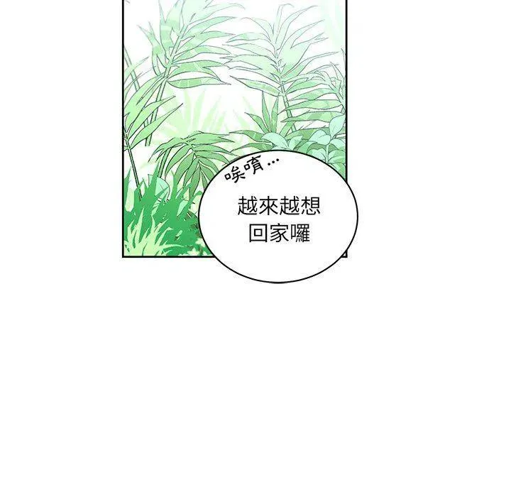 31 第54页