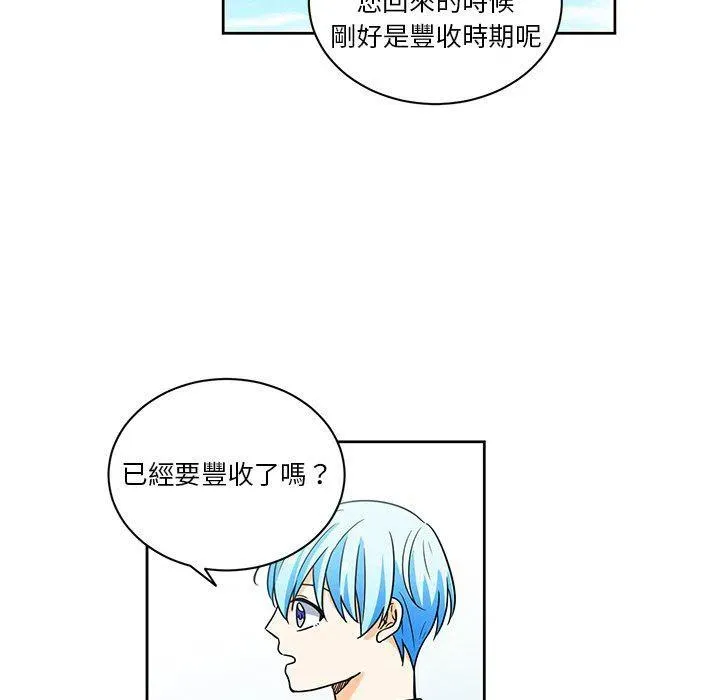 31 第63页