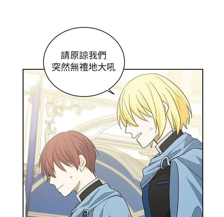 28 第48页