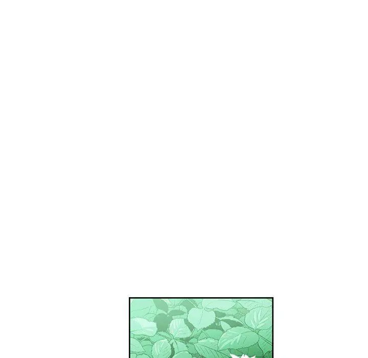 19 第17页