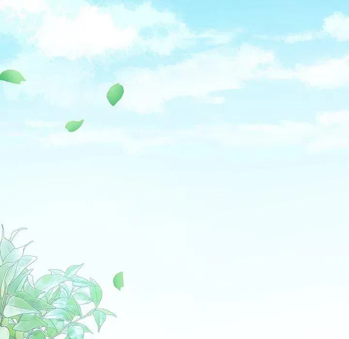 15 第51页