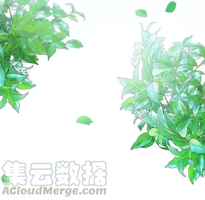 15 第52页