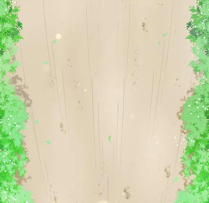 11 第23页