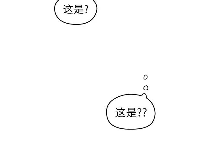 4 第3页
