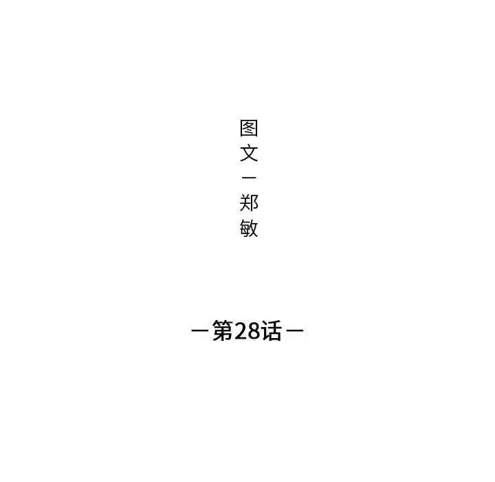 28 第5页