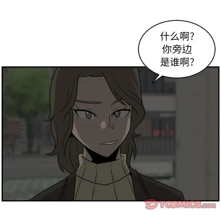 27 第66页