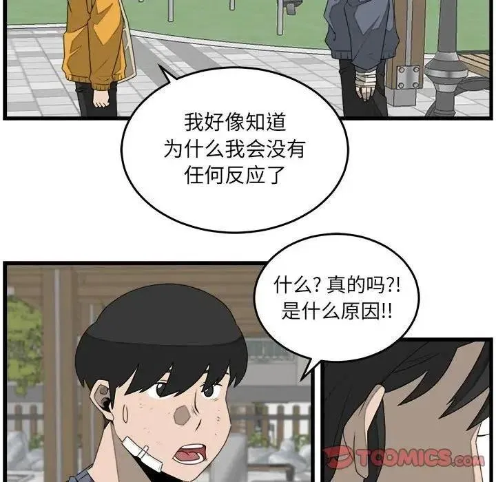 26 第26页