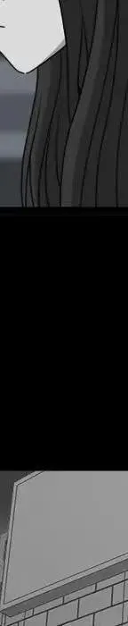 19 第43页