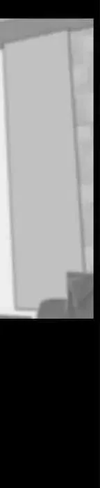 19 第100页