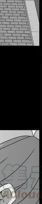 19 第205页