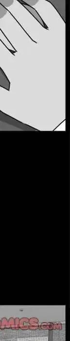 19 第250页