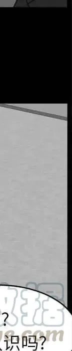 19 第325页