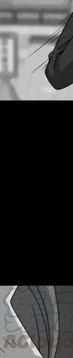 19 第393页