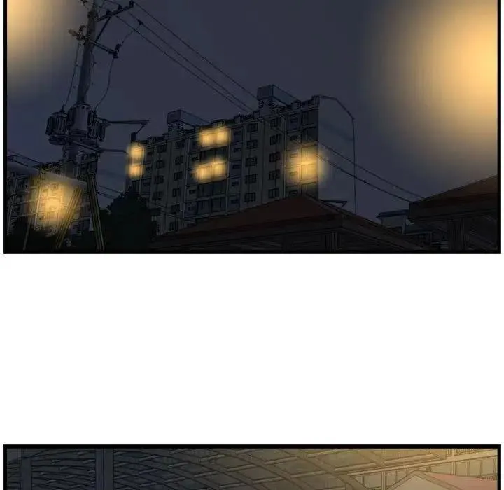 15 第51页