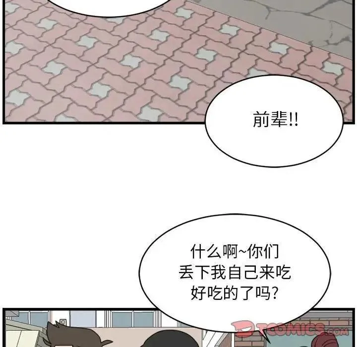 13 第14页