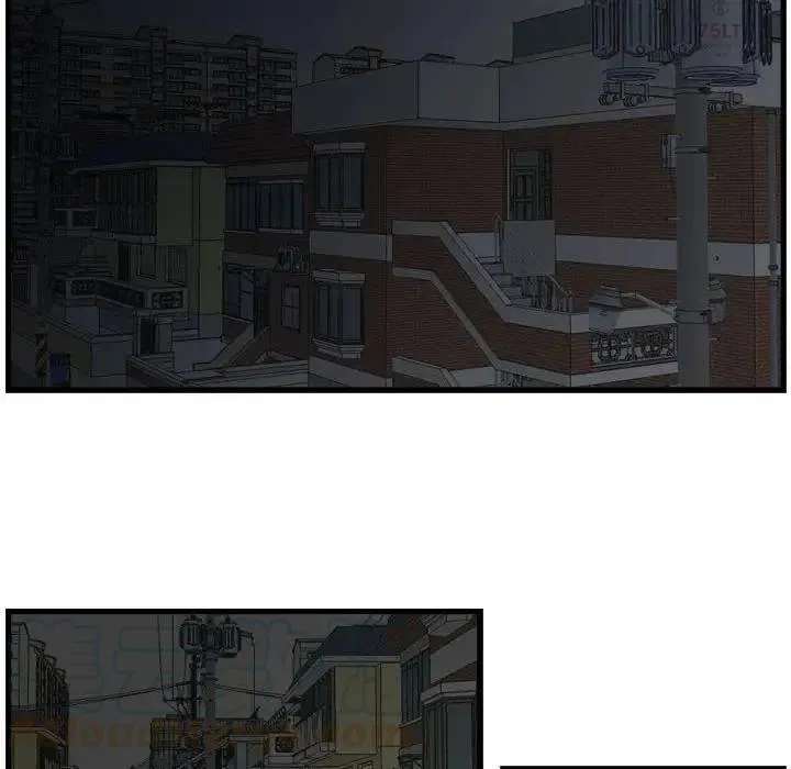 13 第49页