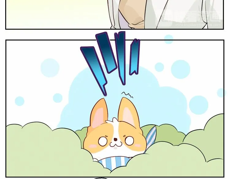 第7话 柯基的搞破坏时间 第29页