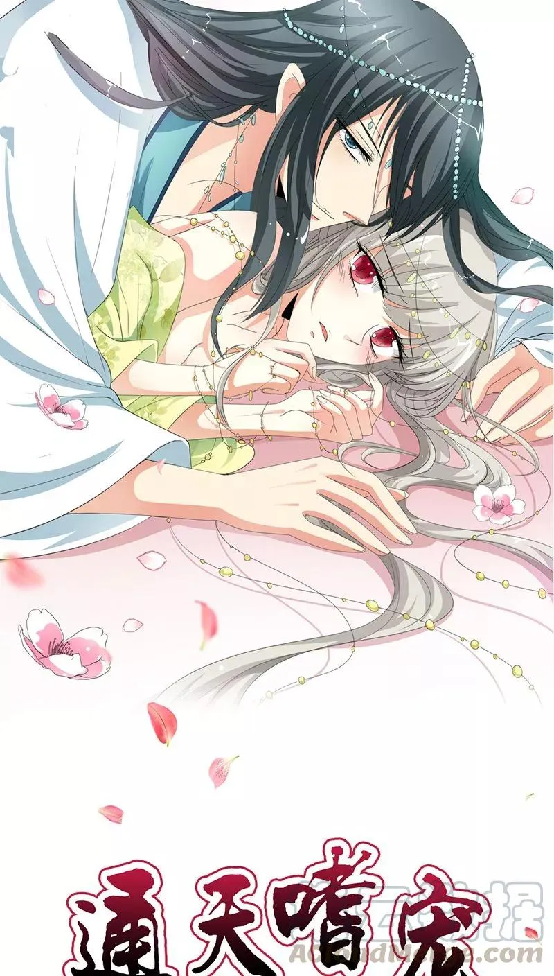 第3季15话 万能月饼 第1页