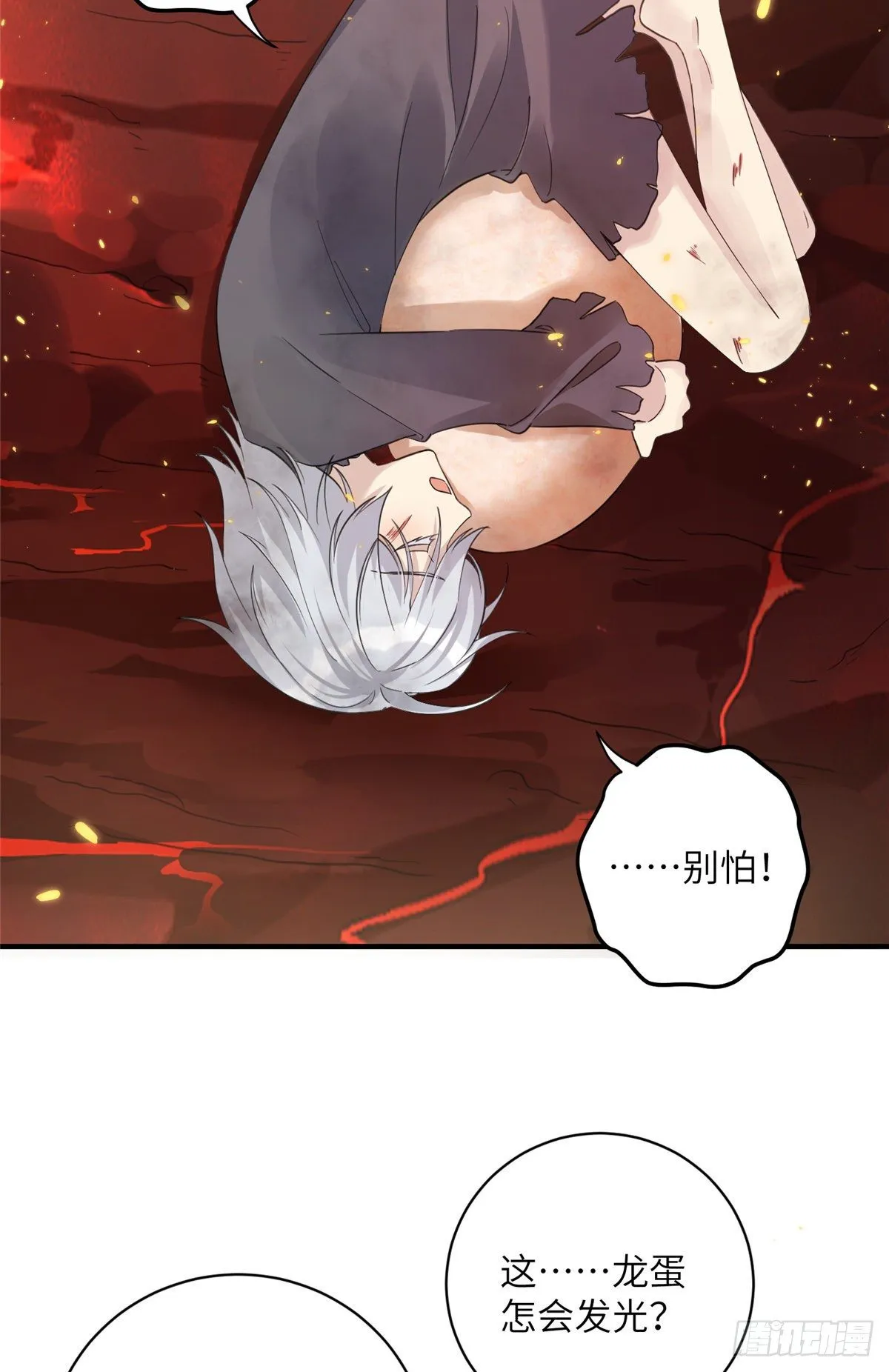 23 凤凰和龙 第39页