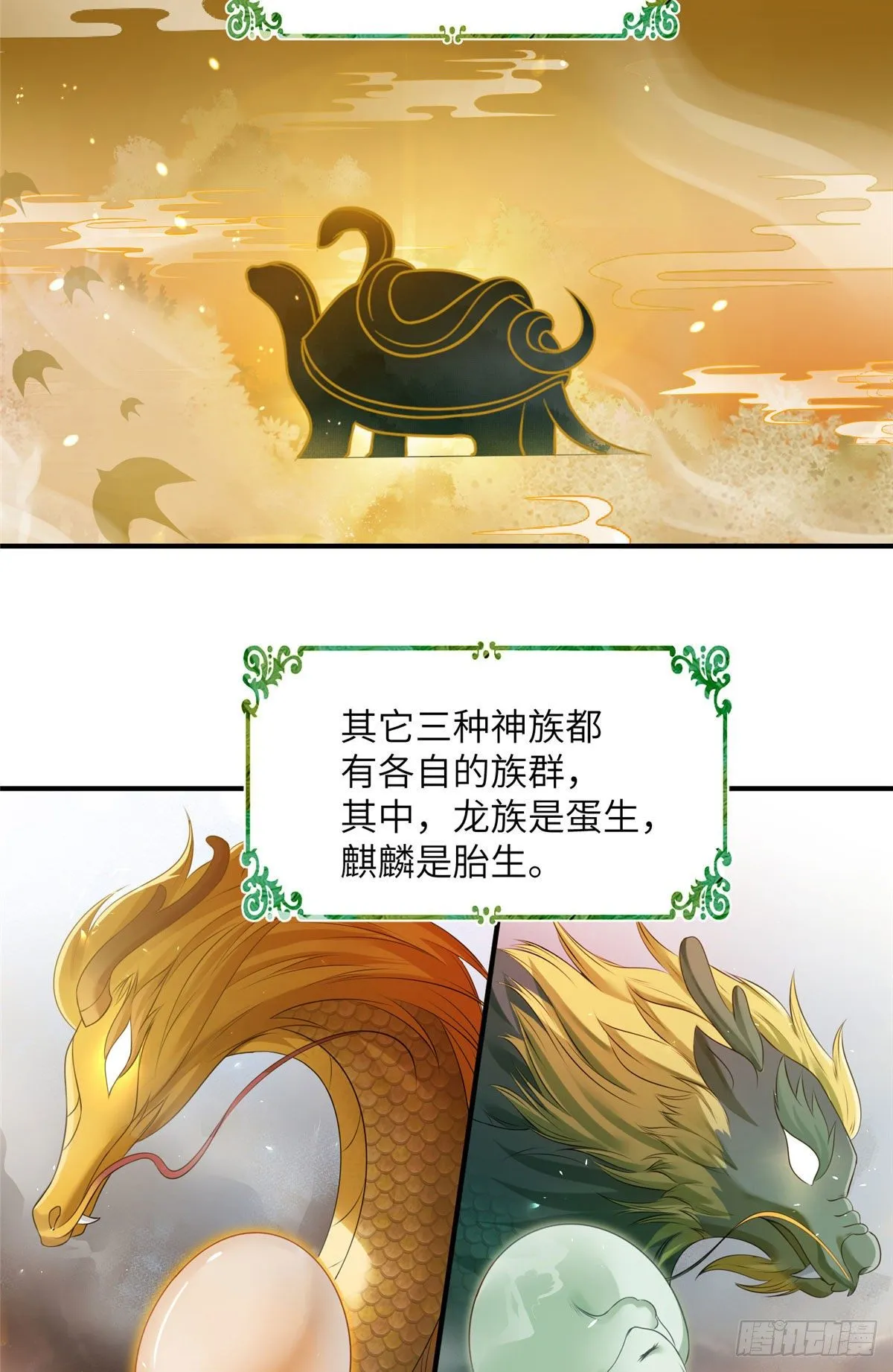 24 是什么蛋 第3页