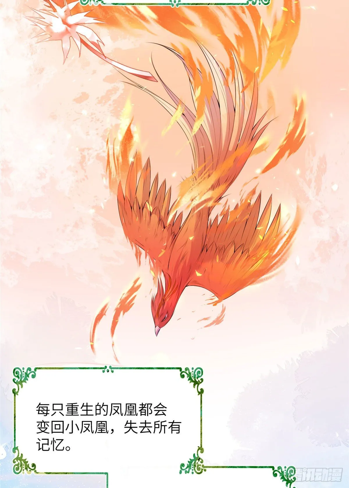 24 是什么蛋 第5页