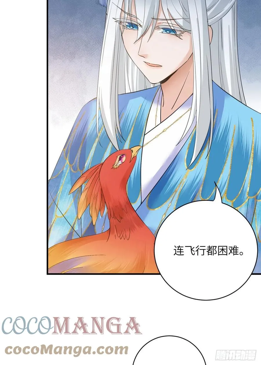 036 我带你回家 第15页