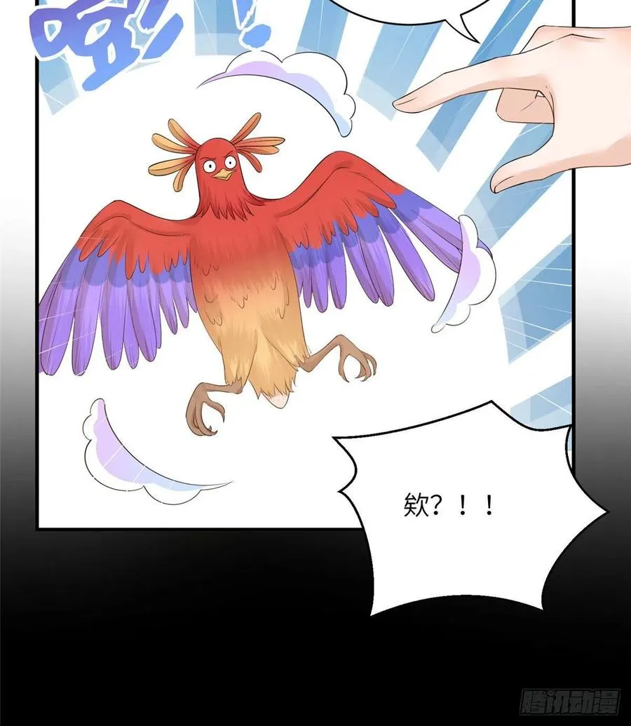 037 化形 第11页