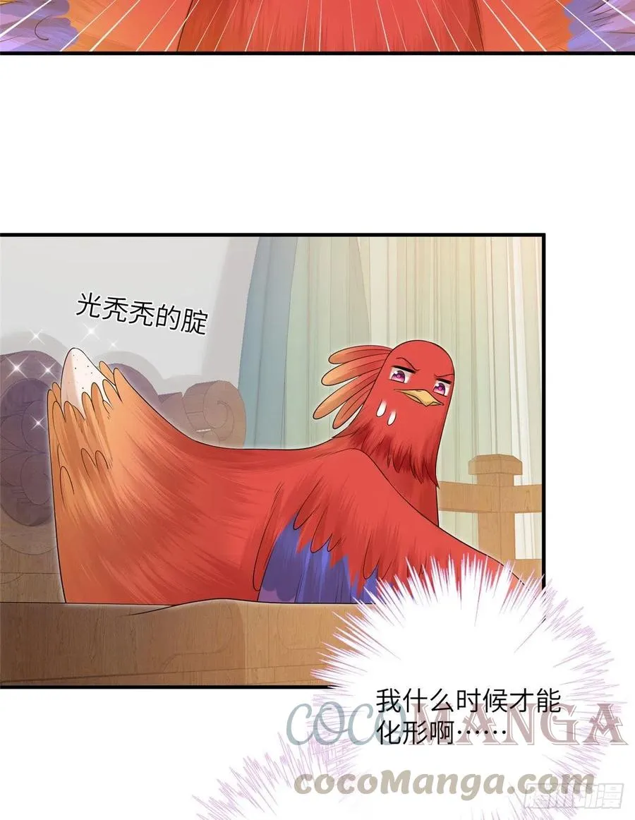 037 化形 第13页