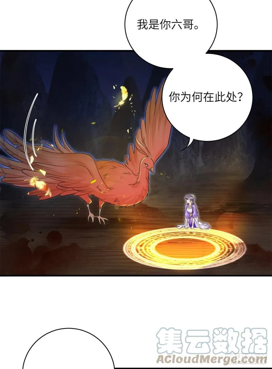 045 神力在线直充 第4页