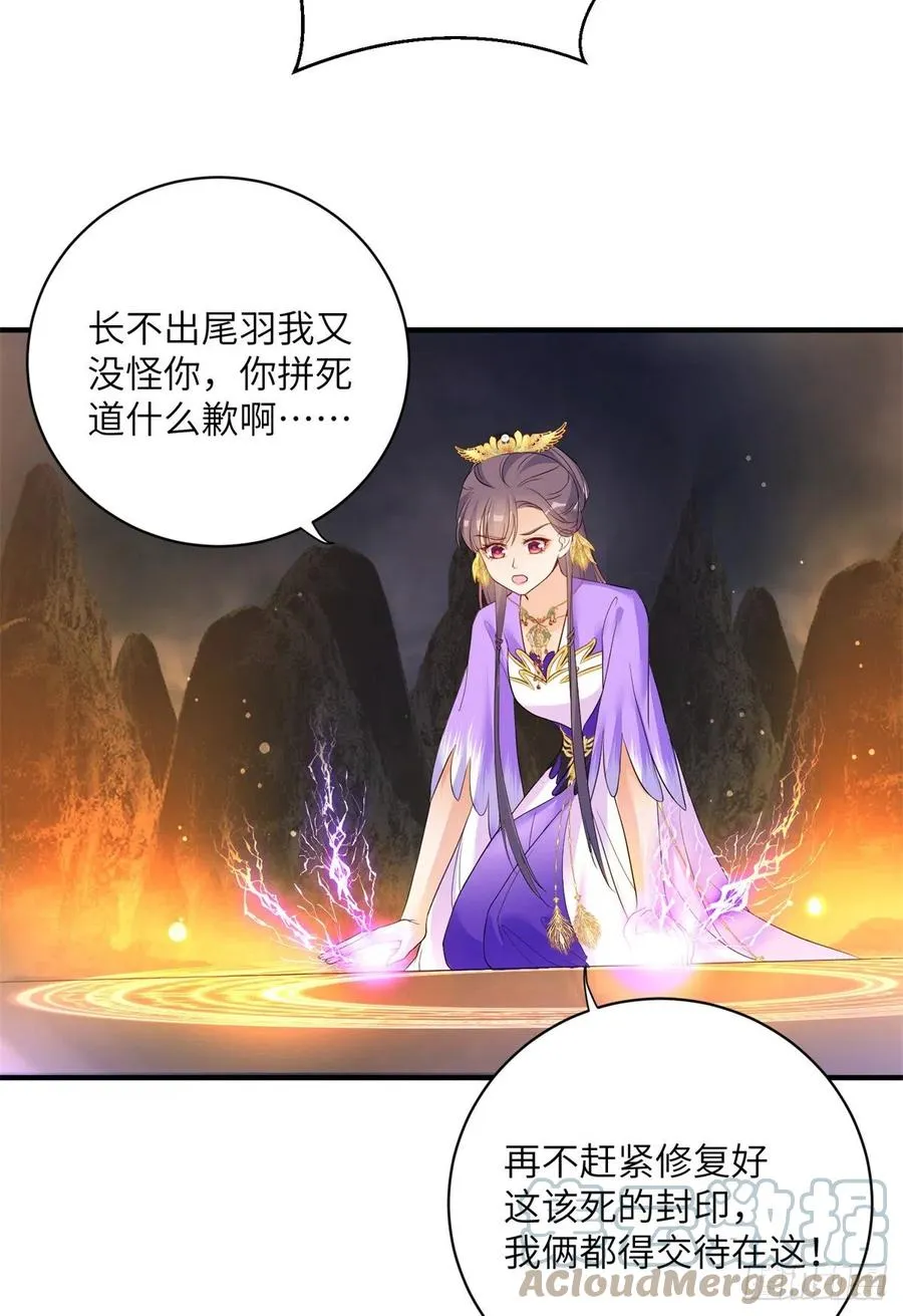 045 神力在线直充 第13页