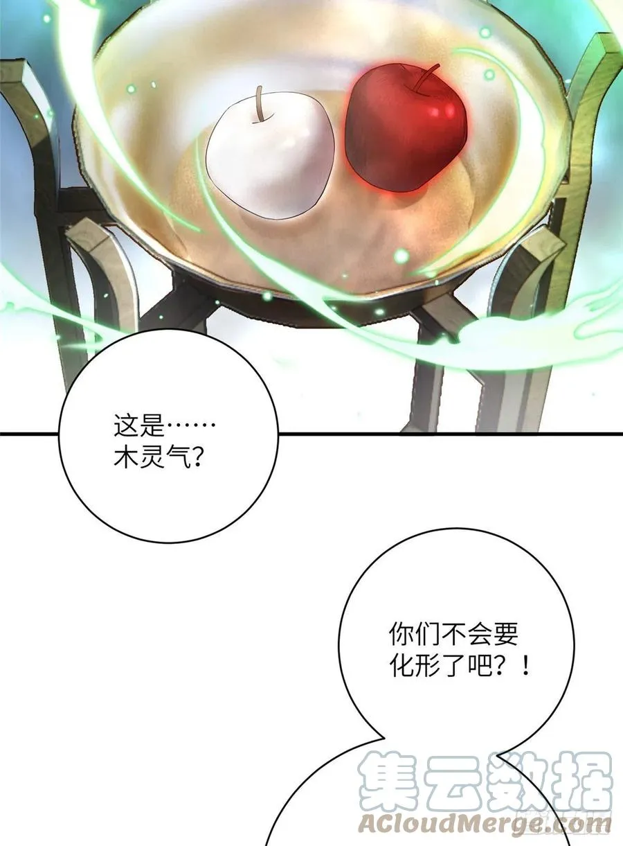 055 师父快到怀里来 第5页